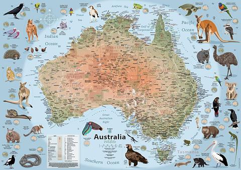 Australia - Wildlife (unlaminated wall map)
